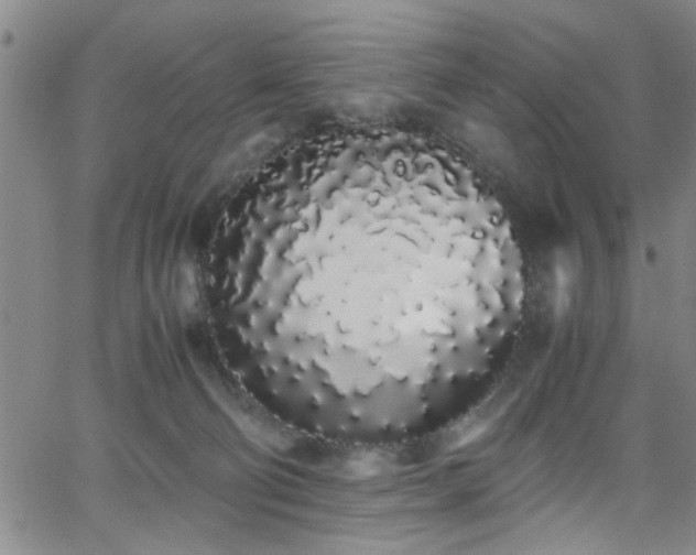 X0000062800130200512261605