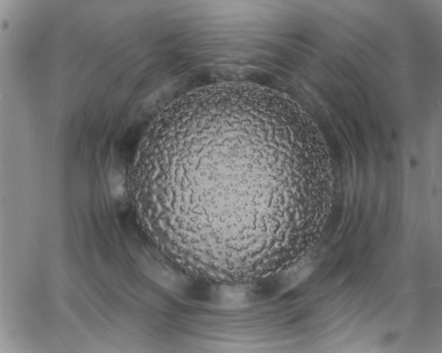 X0000062800134200512261605