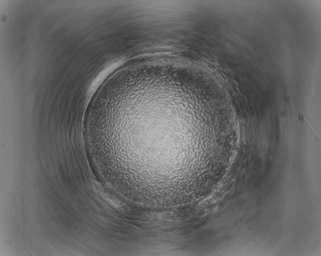 X0000062800147200512261604