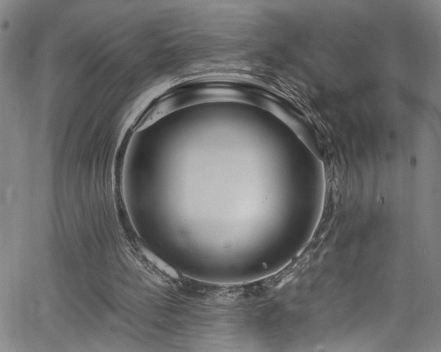 X0000062800148200512261604