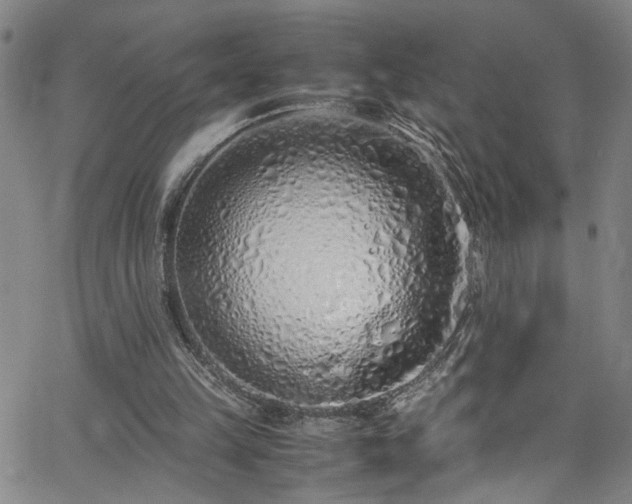 X0000062800149200512261604
