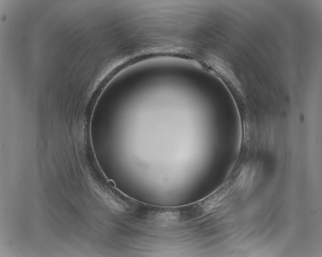 X0000062800156200512261604