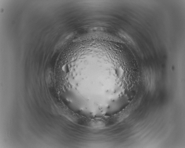 X0000062800169200512261605