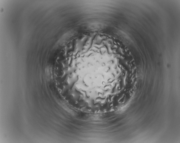 X0000062800182200512261605