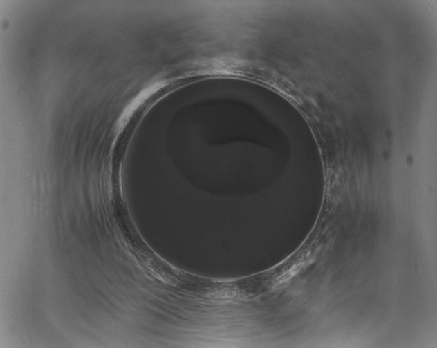 X0000062800200200512261604