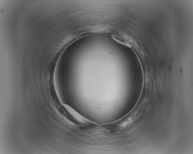 X0000062800201200512261604