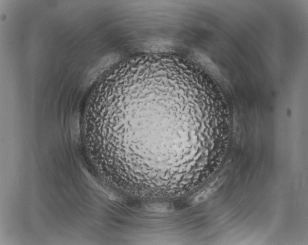 X0000062800202200512261604