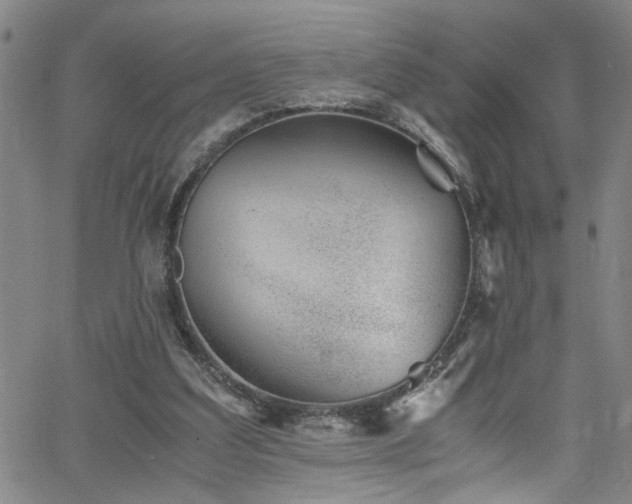 X0000062800203200512261604