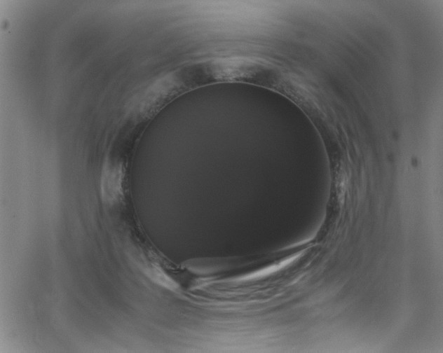 X0000062800219200512261604