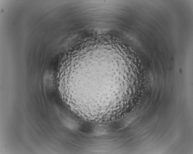 X0000062800222200512261604
