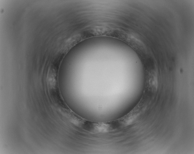 X0000062800226200512261604
