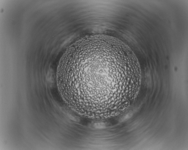 X0000062800228200512261604