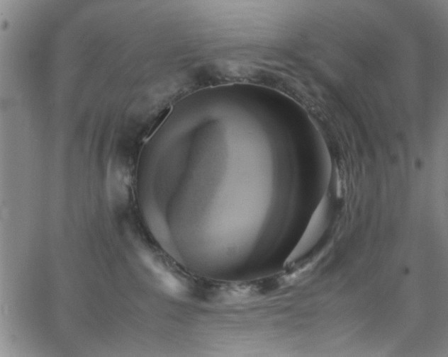 X0000062800235200512261603