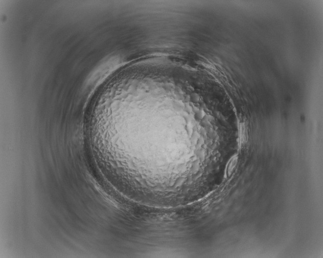 X0000062800243200512261603