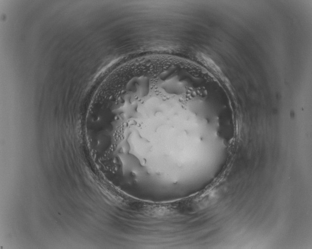 X0000062800249200512261603