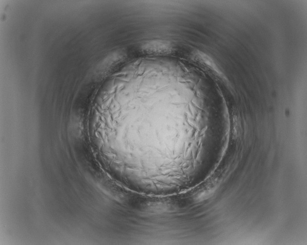 X0000062800259200512261603