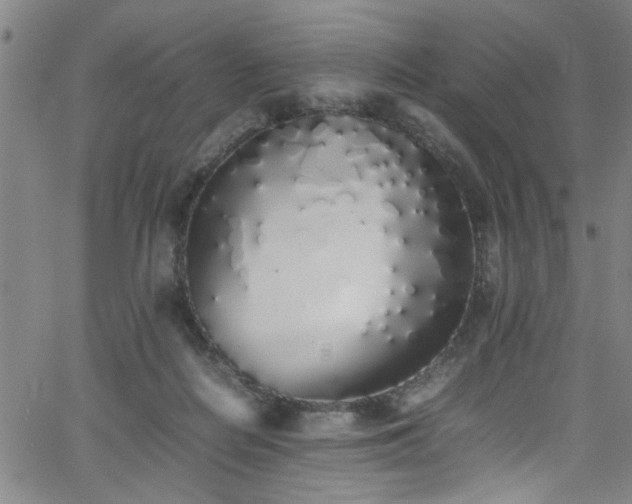 X0000062800266200512261603