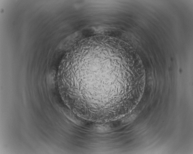 X0000062800275200512261603