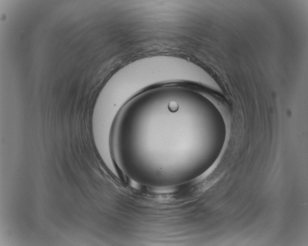 X0000062800288200512261603