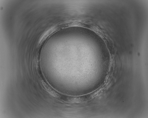 X0000062800293200512261602