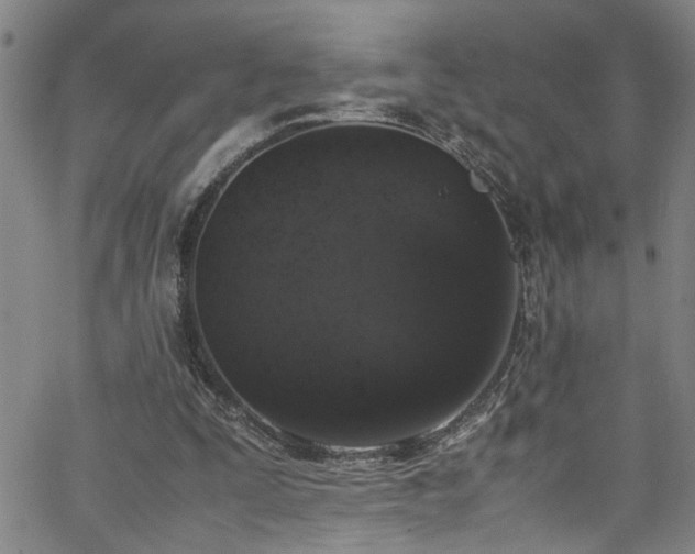 X0000062800295200512261602