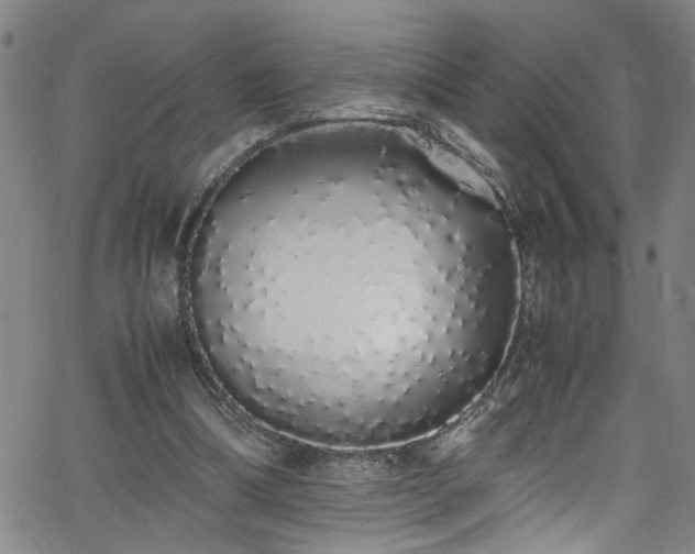 X0000062800298200512261602