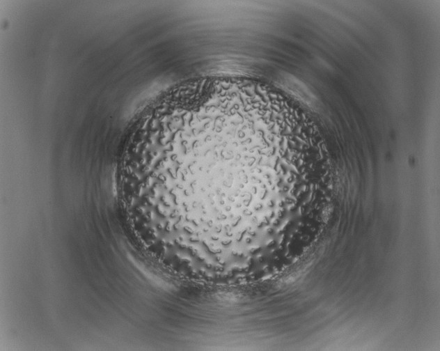 X0000062800302200512261602