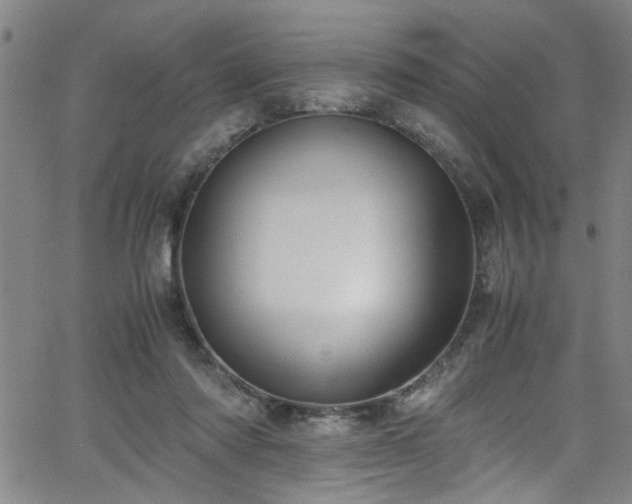 X0000062800310200512261602