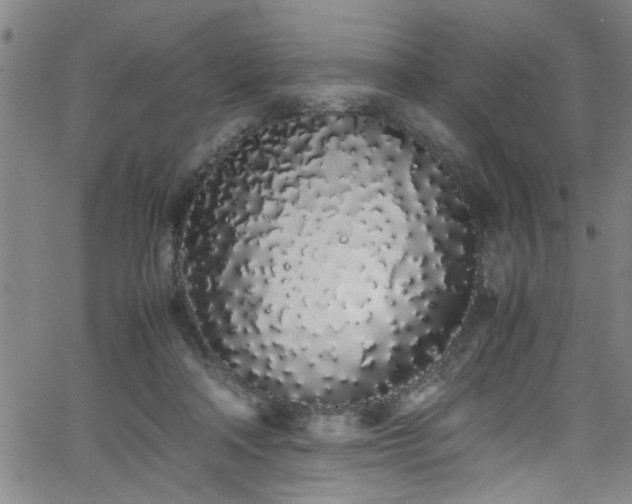 X0000062800314200512261602
