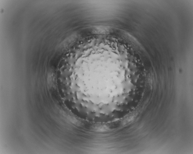 X0000062800322200512261602
