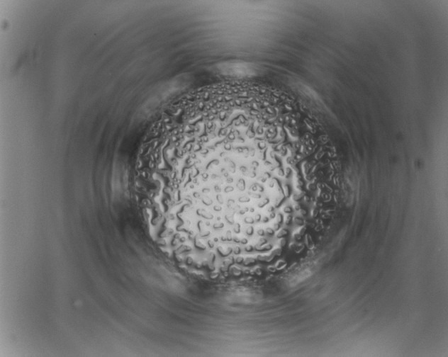 X0000062800330200512261602