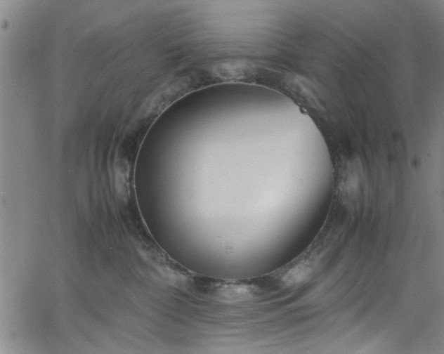X0000062800332200512261602