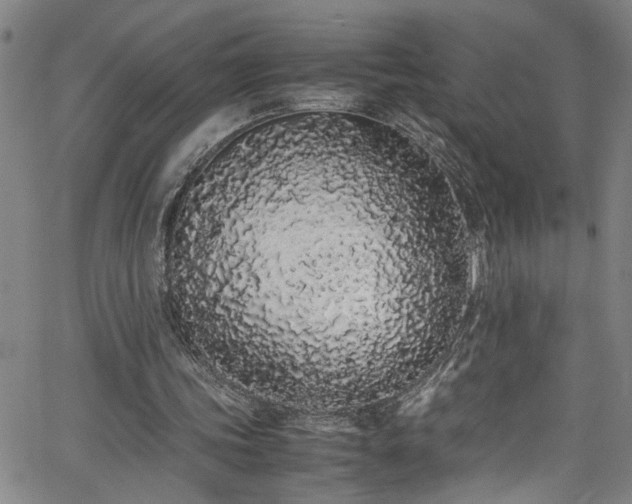 X0000062800339200512261601
