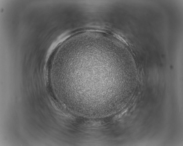 X0000062800343200512261601