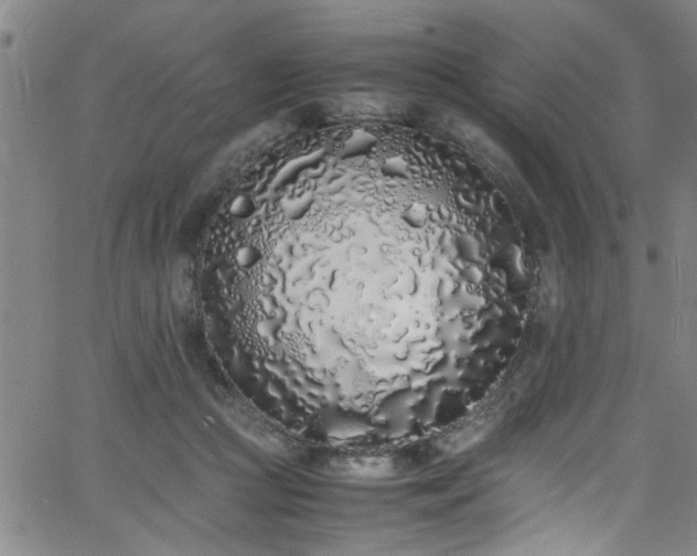 X0000062800361200512261601