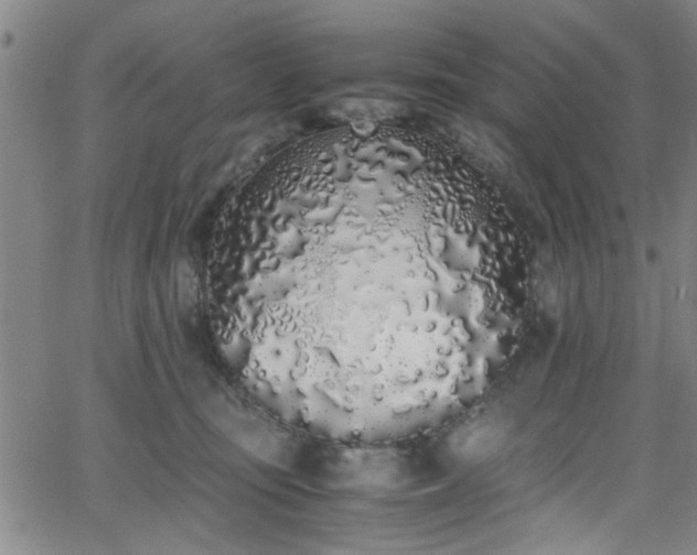 X0000062800371200512261601