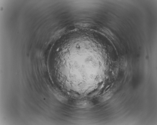 X0000062800377200512261602