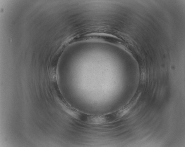 X0000062800383200512261602