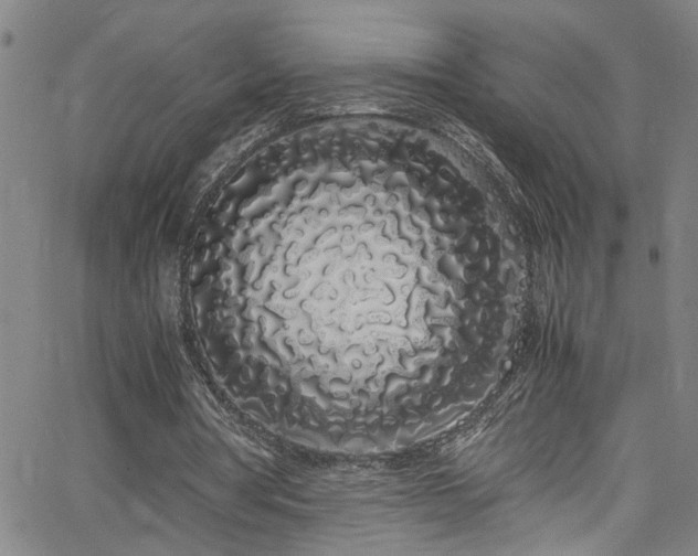 X0000062800386200512261601