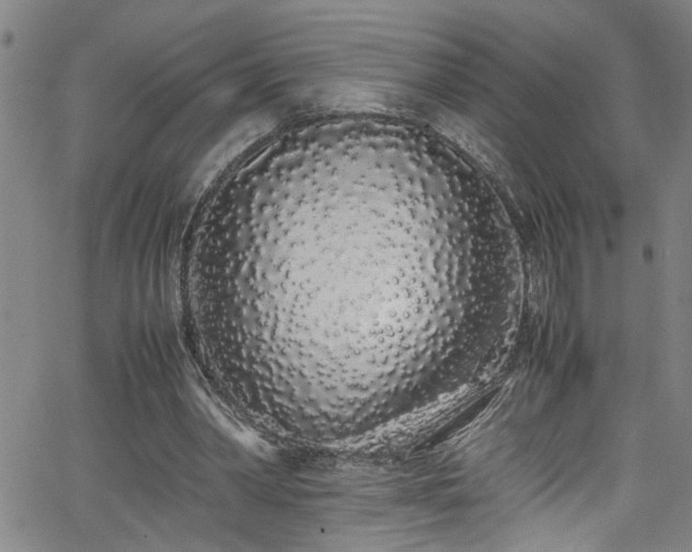 X0000062800390200512261601