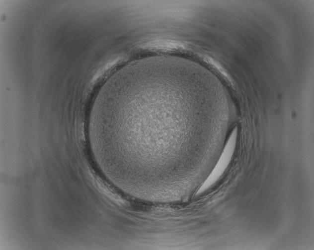 X0000062800399200512261601