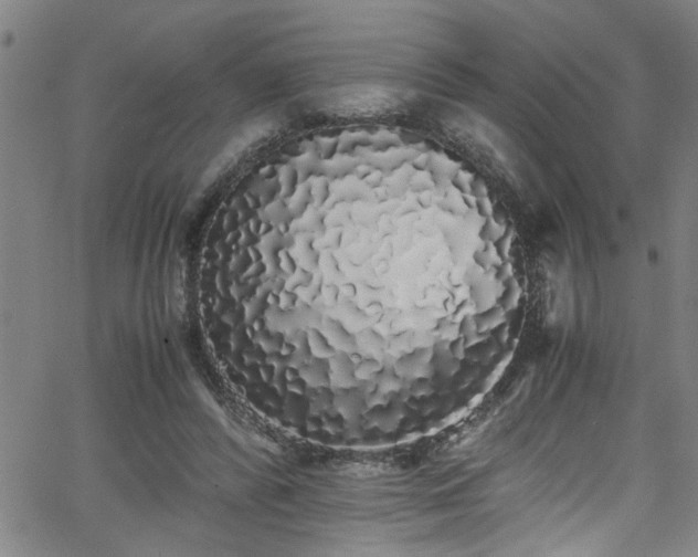 X0000062800400200512261601
