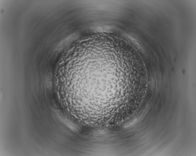 X0000062800402200512261601