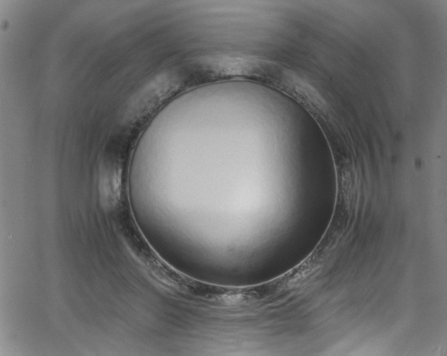 X0000062800406200512261601