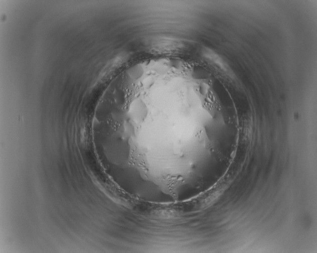 X0000062800408200512261601