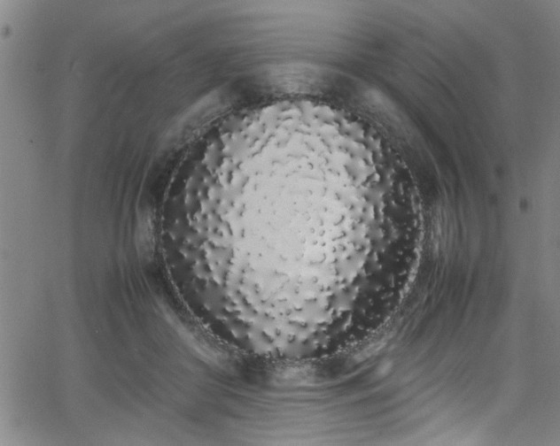 X0000062800410200512261600
