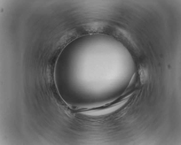 X0000062800416200512261600