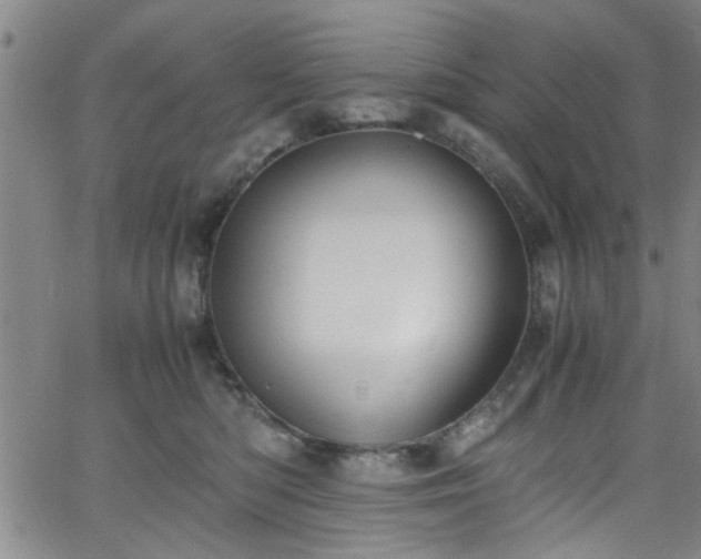 X0000062800422200512261600