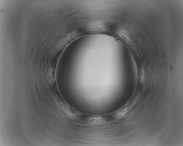 X0000062800428200512261600