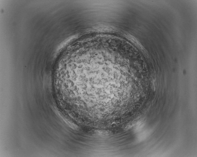 X0000062800442200512261559